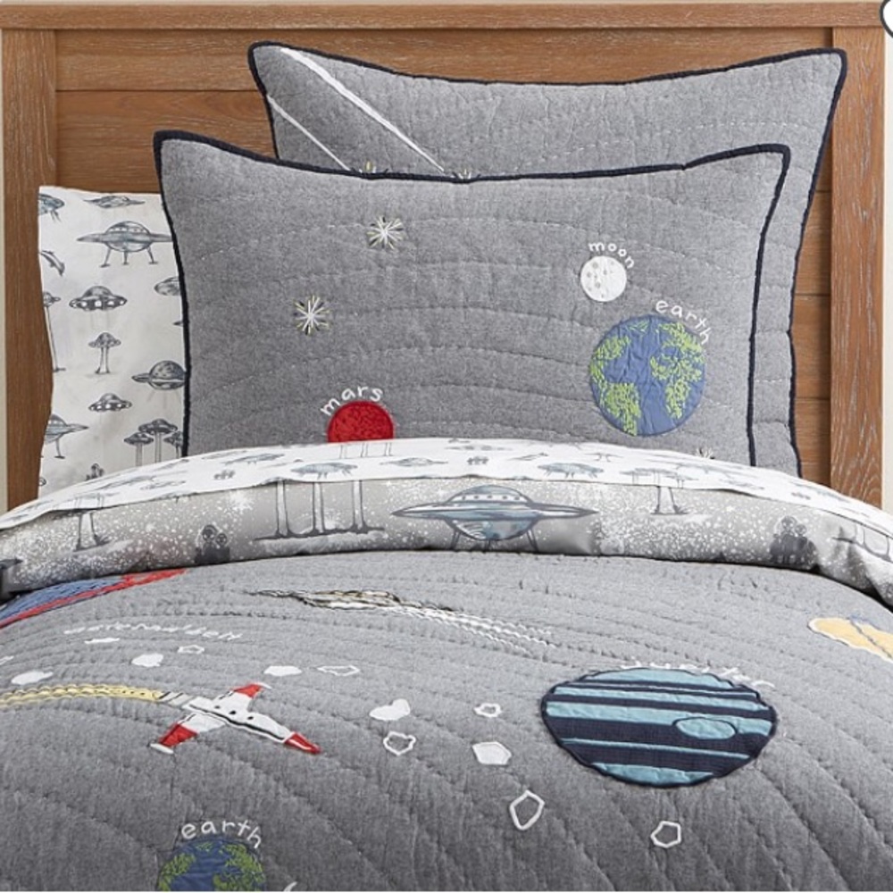 Pottery Barn Outer Space euro sham - Picture 2 of 6